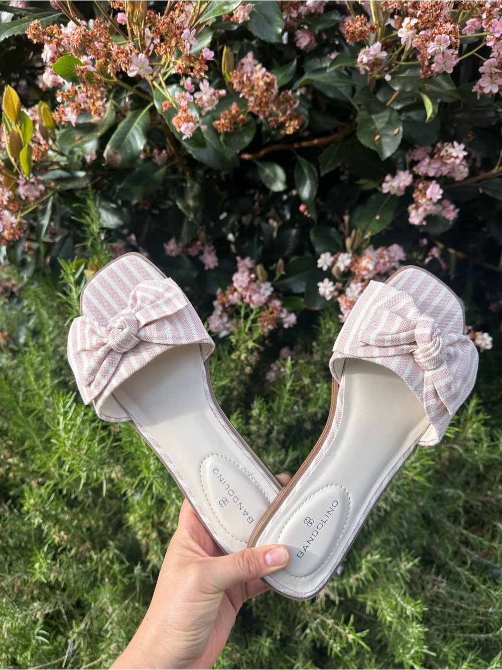 Bandolino Violeta Sandal - Pink Striped Bow Slide Sandals 8.5m